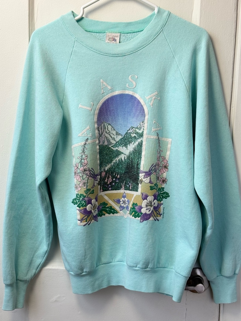 Vintage 90s made in USA fruit of the loom Alaska theme crewneck sweater size L